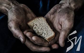 ������ �� ����� �������� ������� ����� ���������� �����������������, � ��������